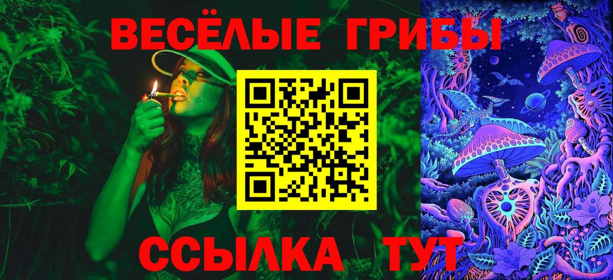 Псилоцибиновые грибы мицелий Юрга